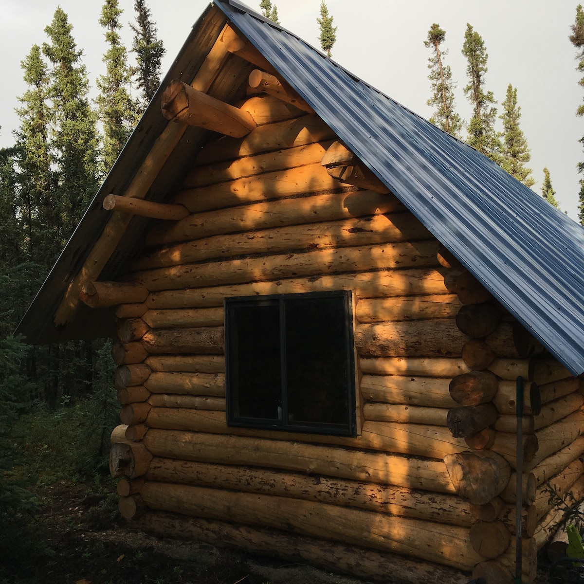 德纳利正宗阿拉斯加小屋