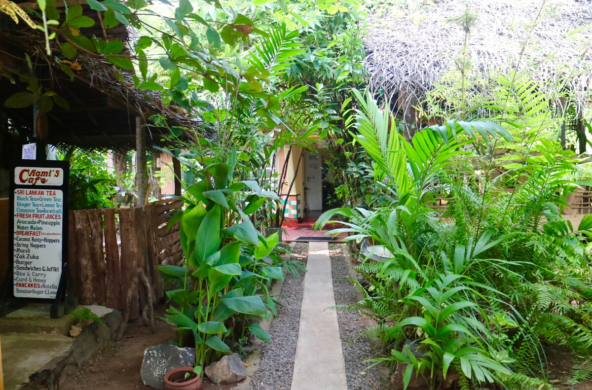 Chami 's Jungle Beach Coconut Tree House Paradise