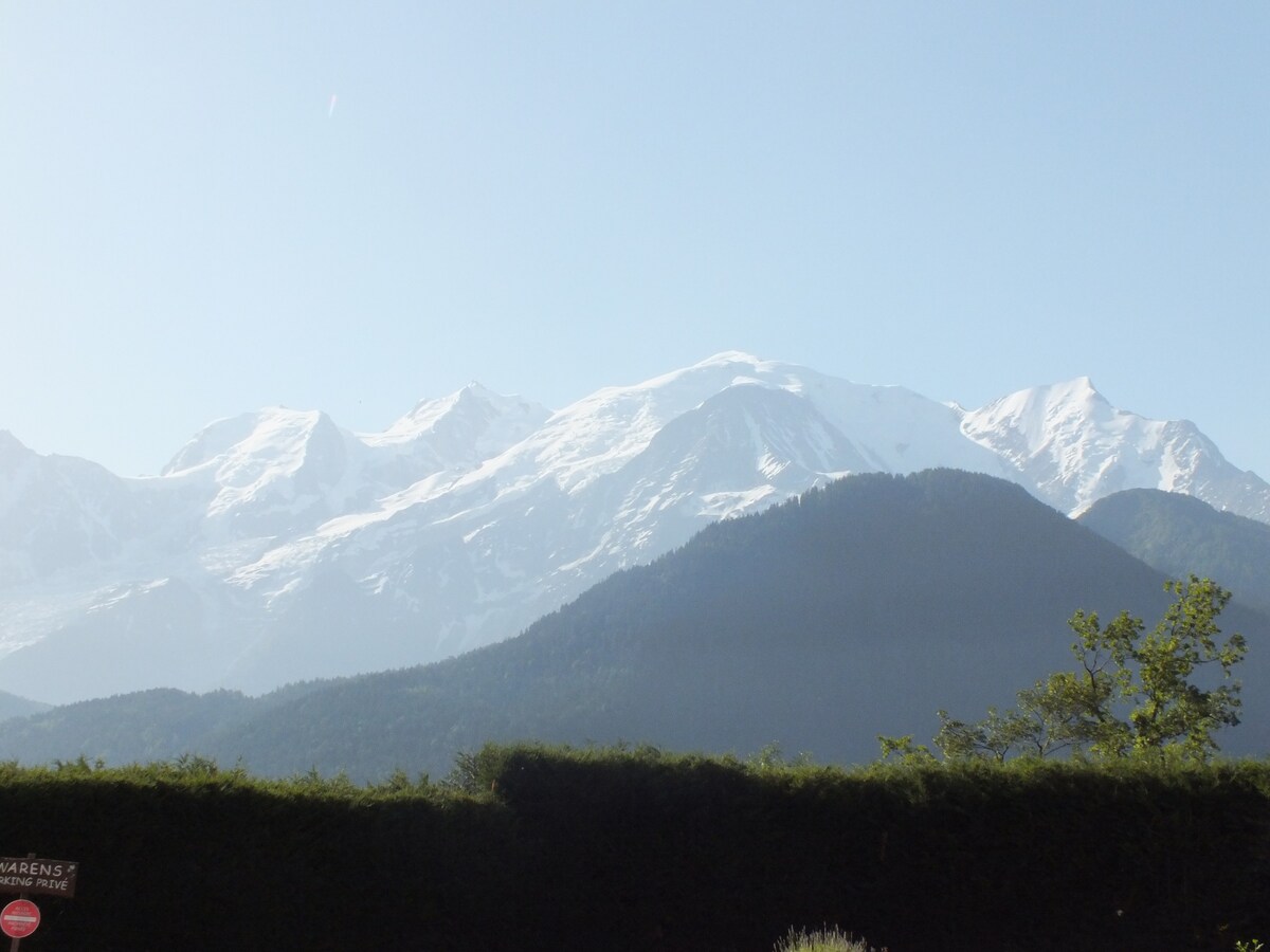 Plateau d 'Assy ，欣赏到勃朗峰（ Mont Blanc ）的美景