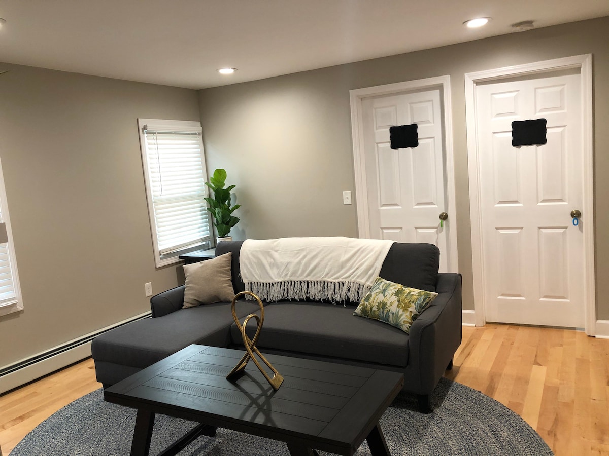 舒适的现代化卧室，位于新装修的公寓内。