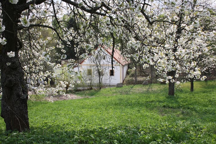 Staré Město pod Landštejnem的民宿