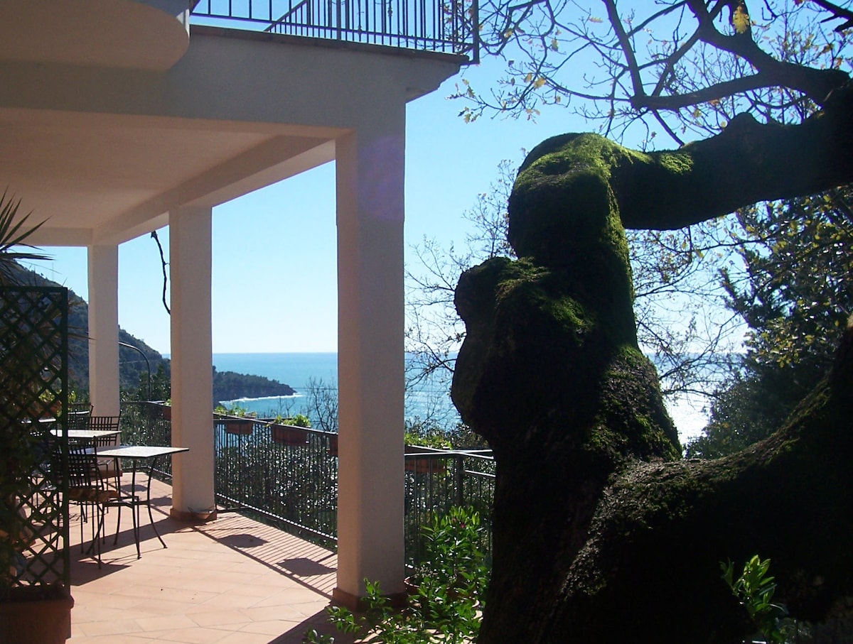 B&B La casa del gelso - Maratea