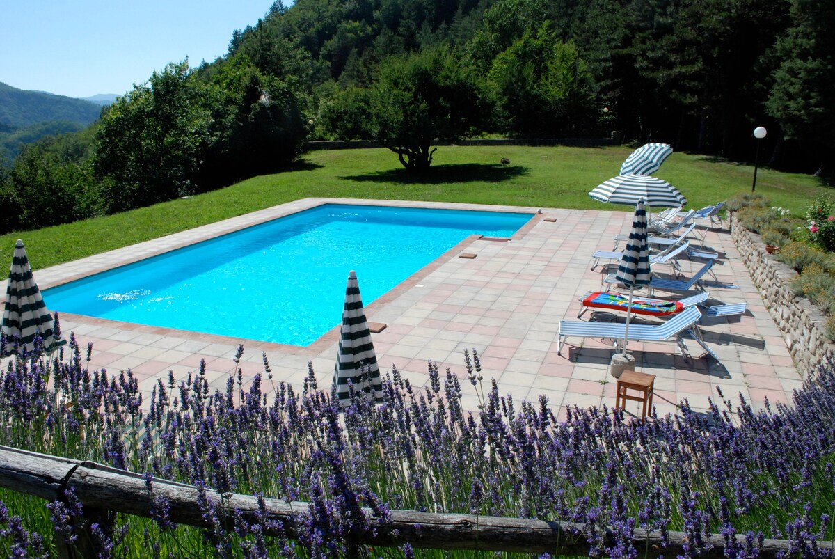 托斯卡纳树林带泳池的宽敞别墅