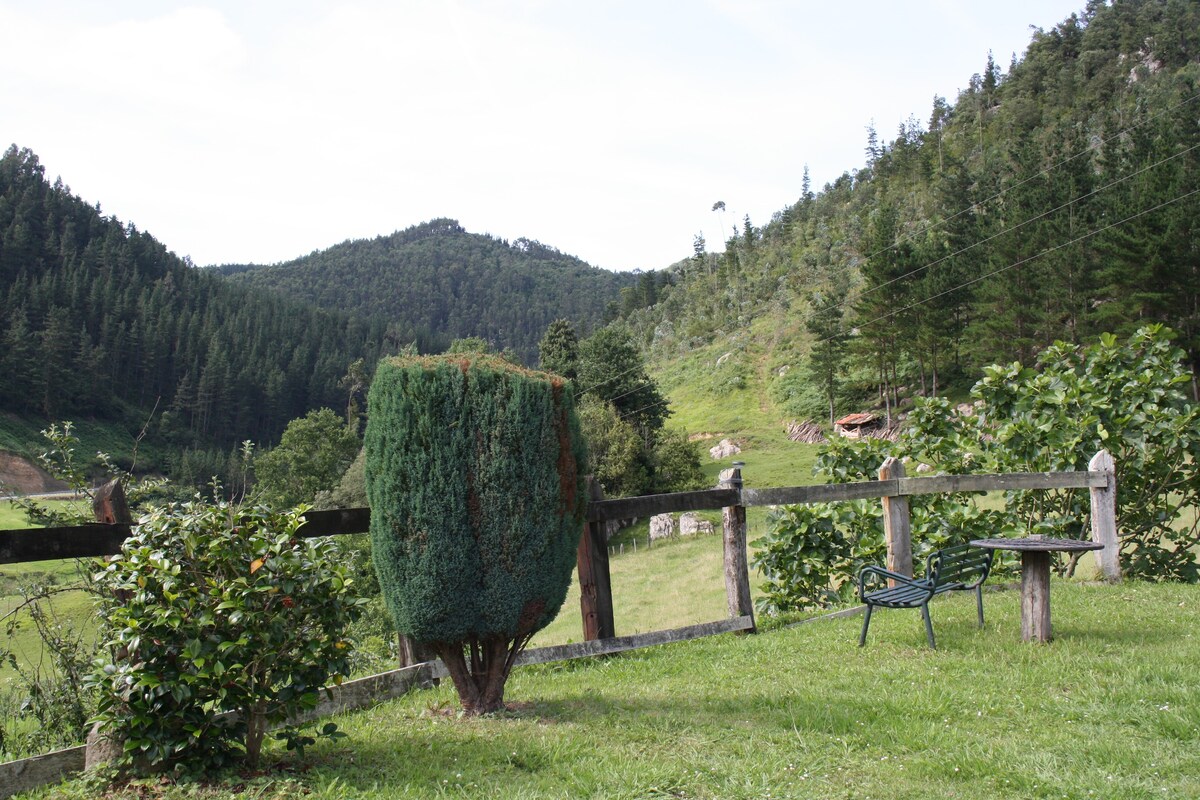 Akuiola两人公寓型住宅