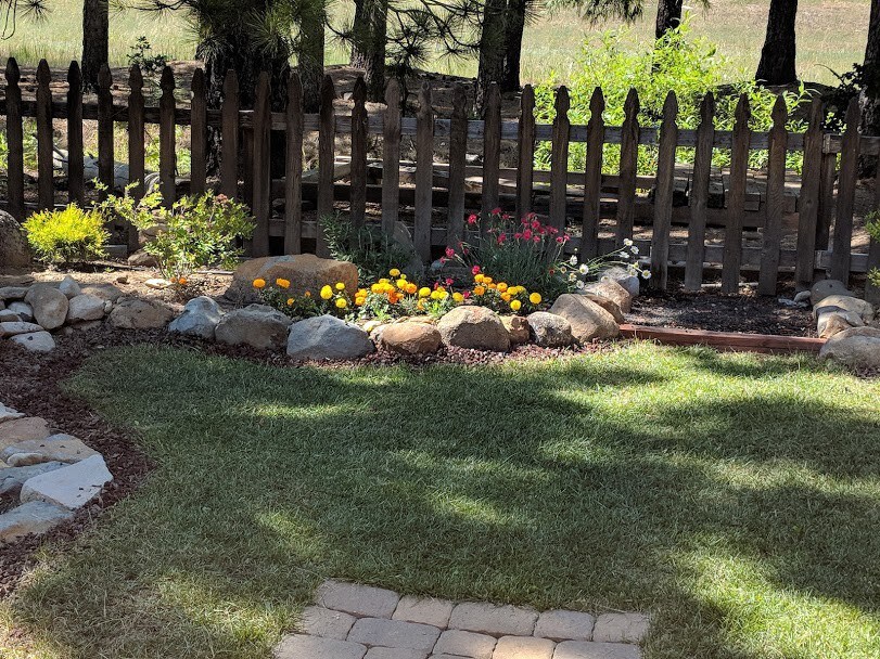 Mount Lassen Vacation Cabin