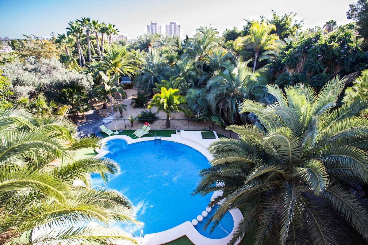 棕榈树环绕着按摩浴缸和游泳池的绿洲