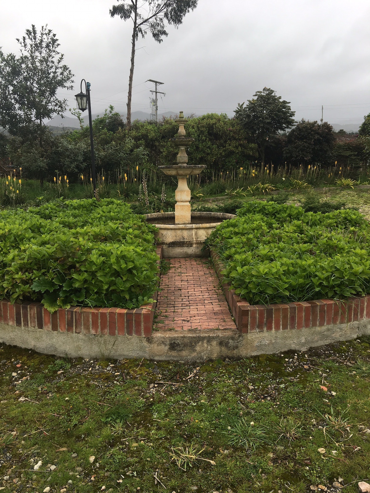 Finca Bosque de los Siete Leeros