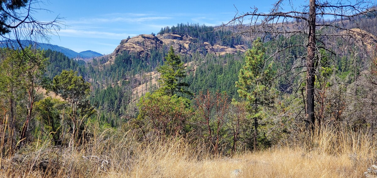 俄勒冈州里德尔牛溪（ Cow Creek ）的团体露营地