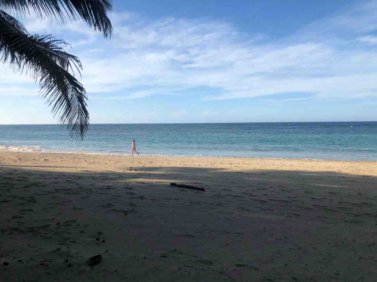 私人海滩- 4卧室别墅-蓬塔卡纳（ Ville-Punta Cana ） ，放松身心