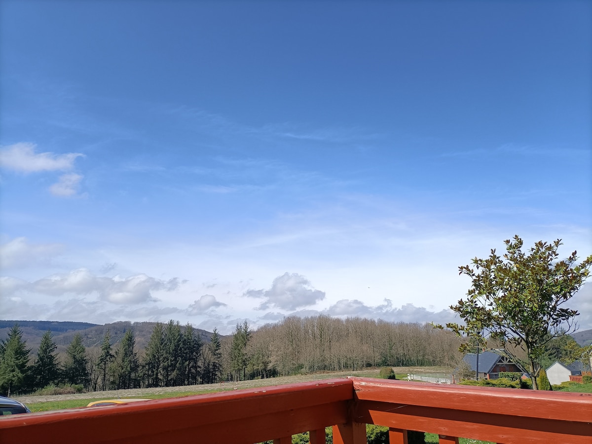 Chalet au lac de la Raviège, moyenne montagne