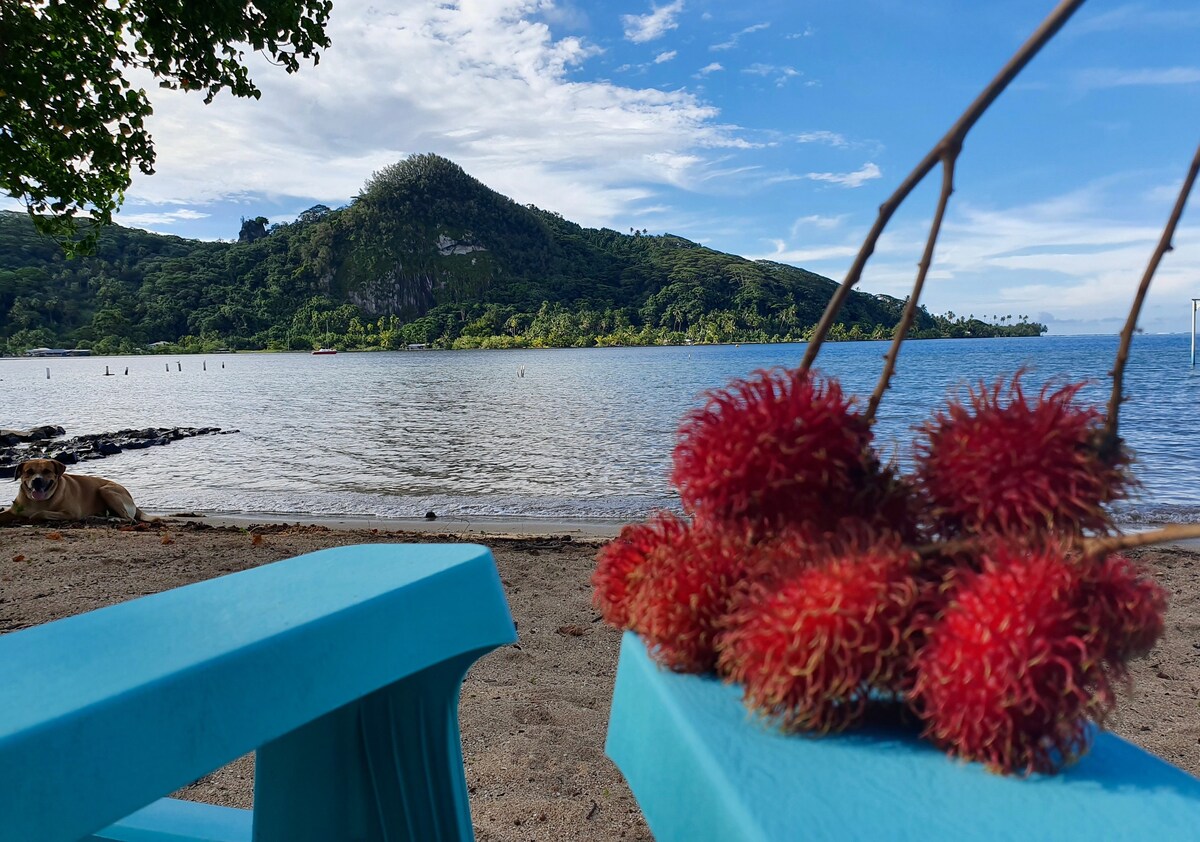 RAIATEA / Bord de mer / Studio du "Fare Rêvé"