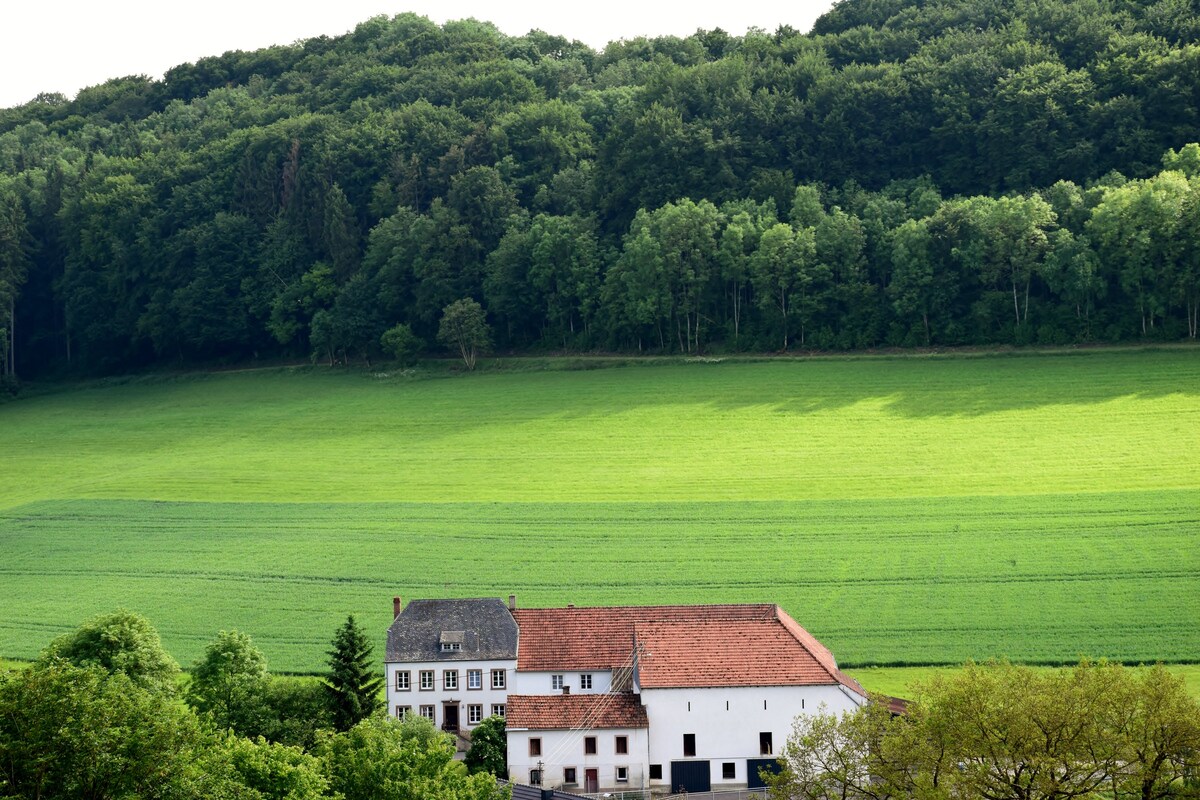 Nobenhof Südeifel （靠近Mullerthal/Luxembourg/Trier ）