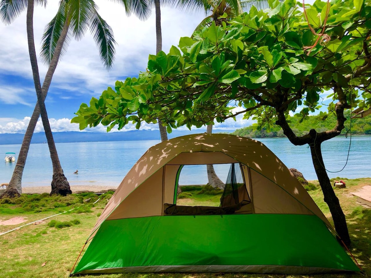 海滨睡眠与生物发光