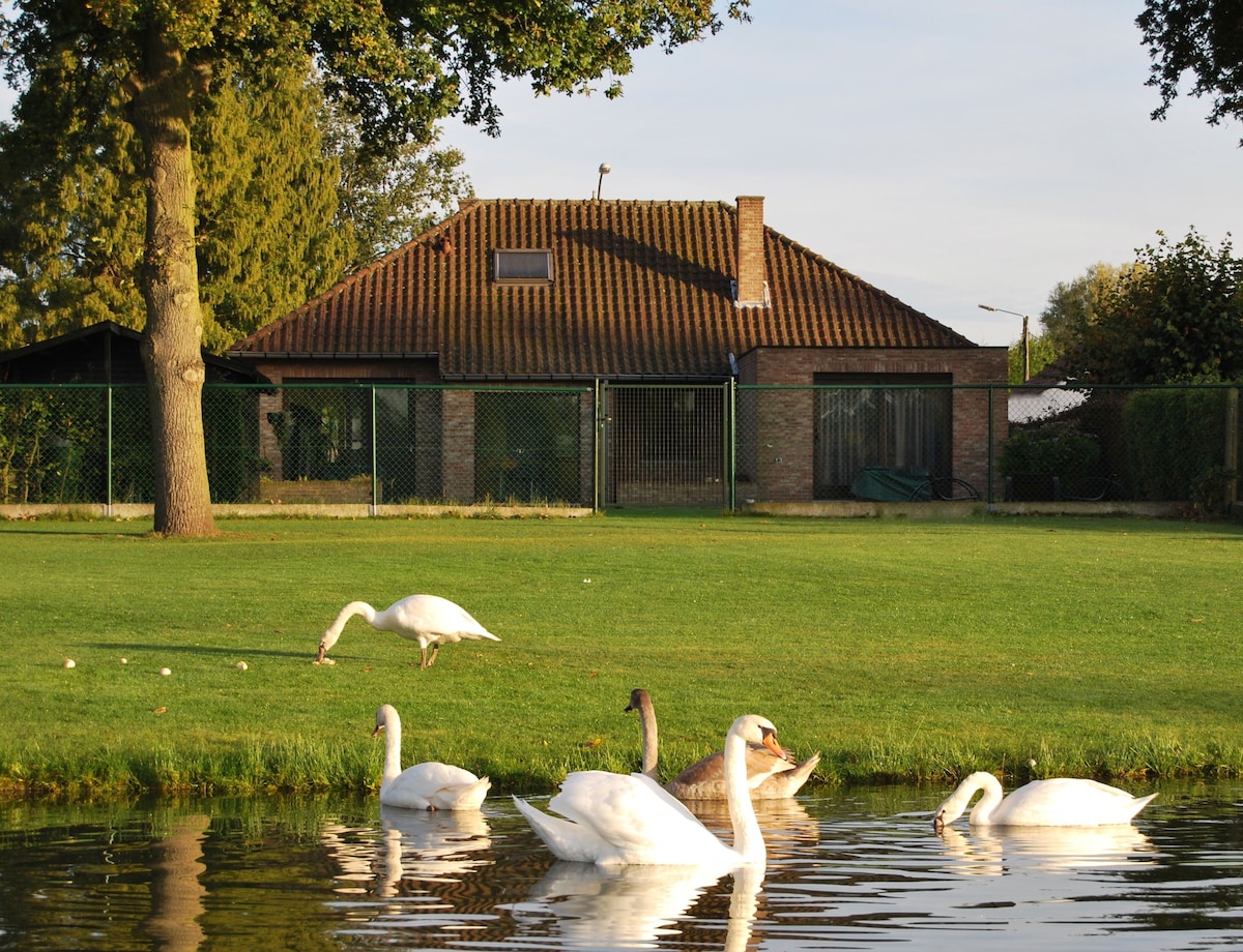 宽敞的独立别墅，拥有花园湖景。
