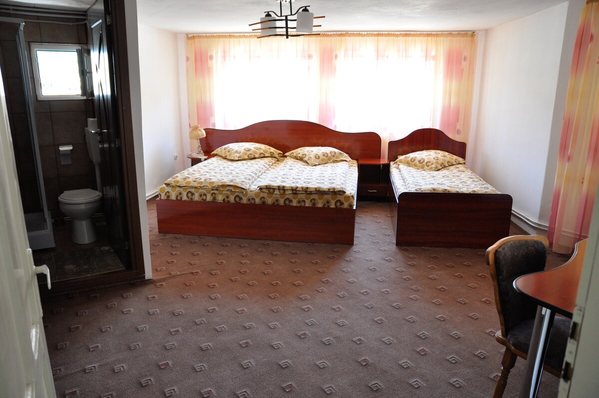 3 - Cozy room in the heart of Apuseni Mountains