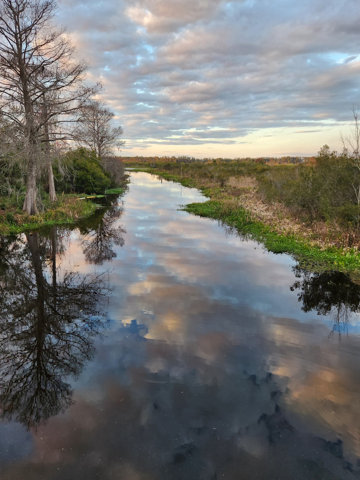 Little bungalow off the Withlacooche River