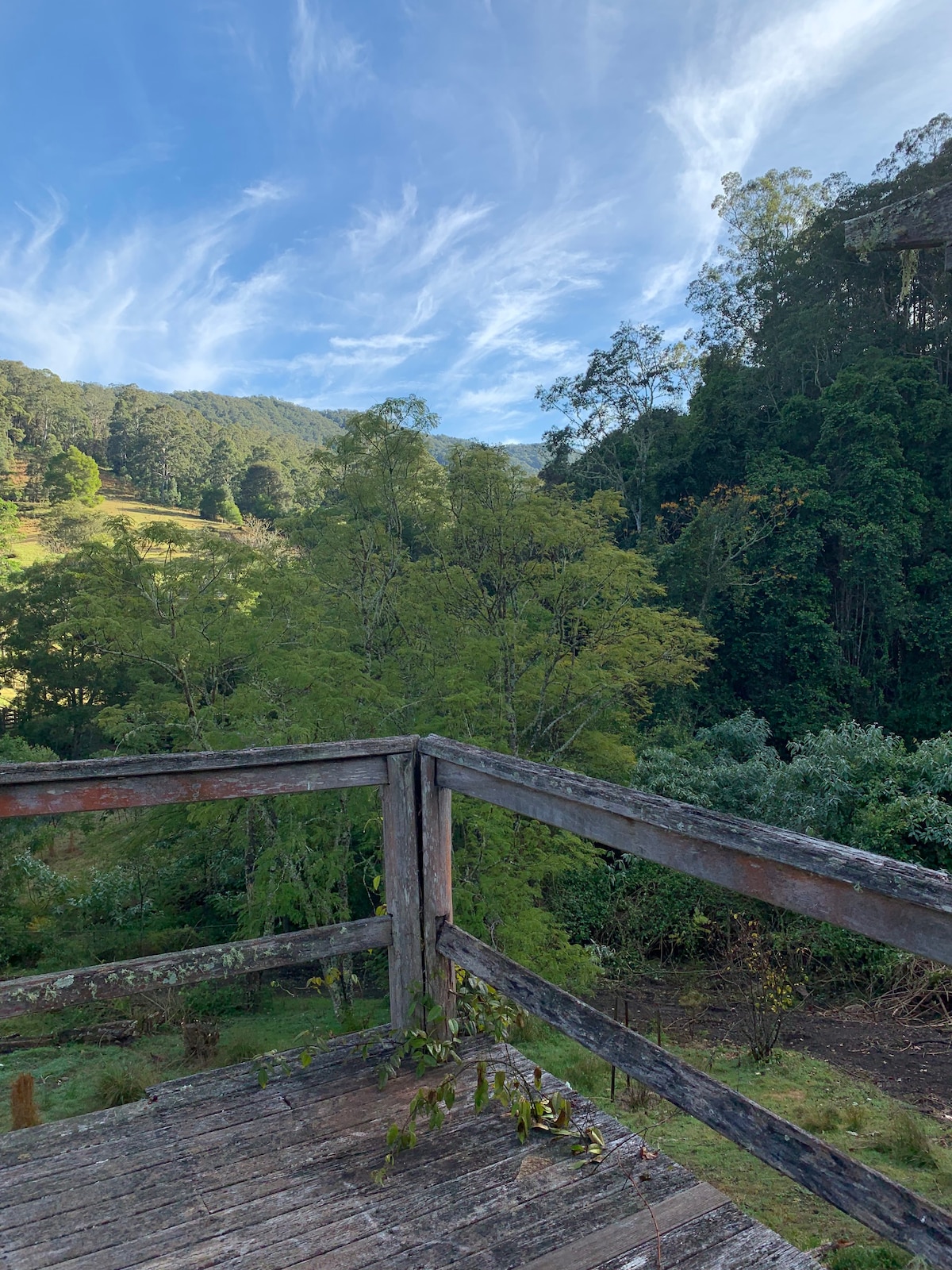 黄房子-基拉尼自然保护区（ Killarney Nature Reserve ） ， Dungog