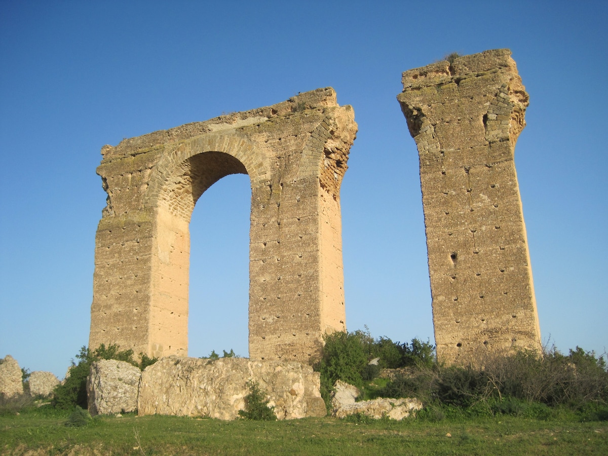 Dar Aida ， Zaghouan住宿加早餐，山区