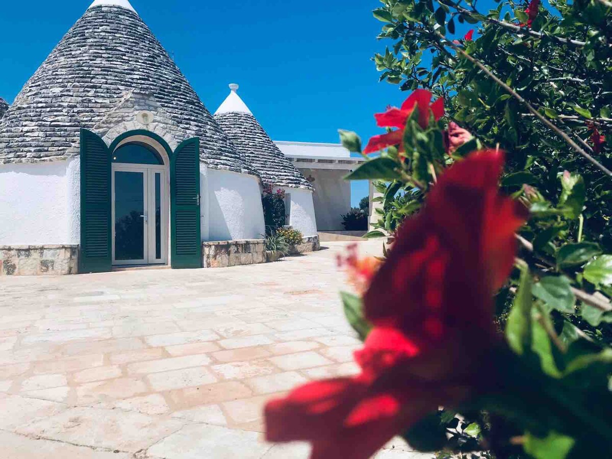 Gina 's Trulli-公寓Trullo 6人