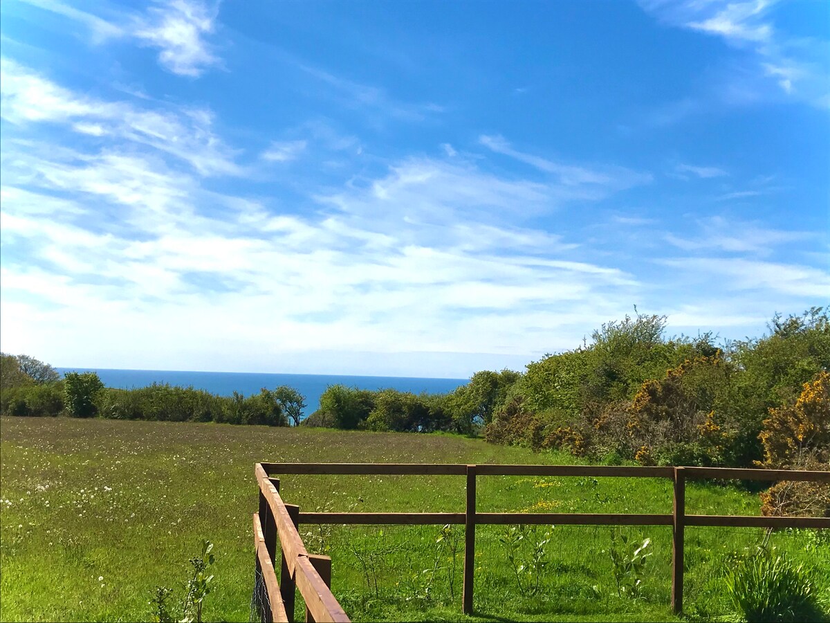 Aberaeron Shepherd 's Hut