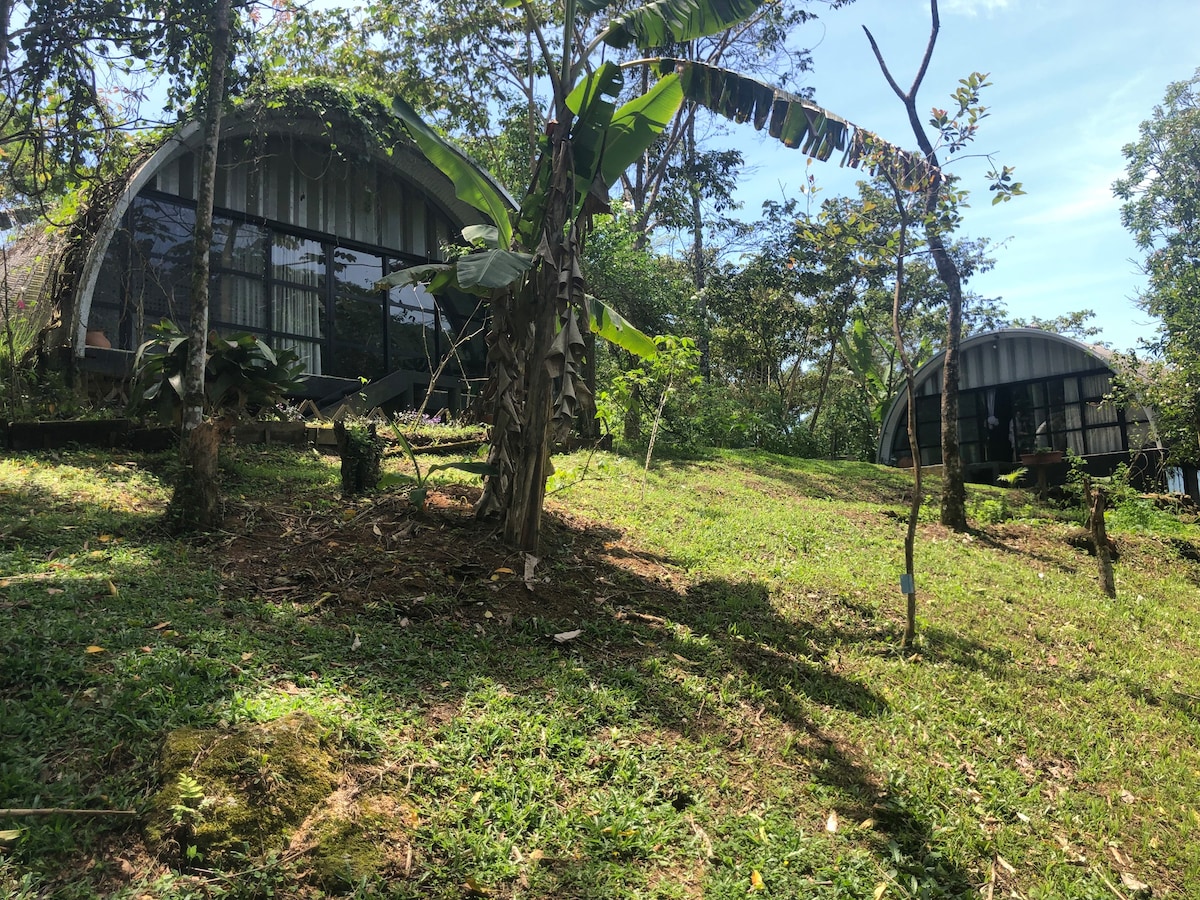 Modern cabin facing the Atlantic rain forest
