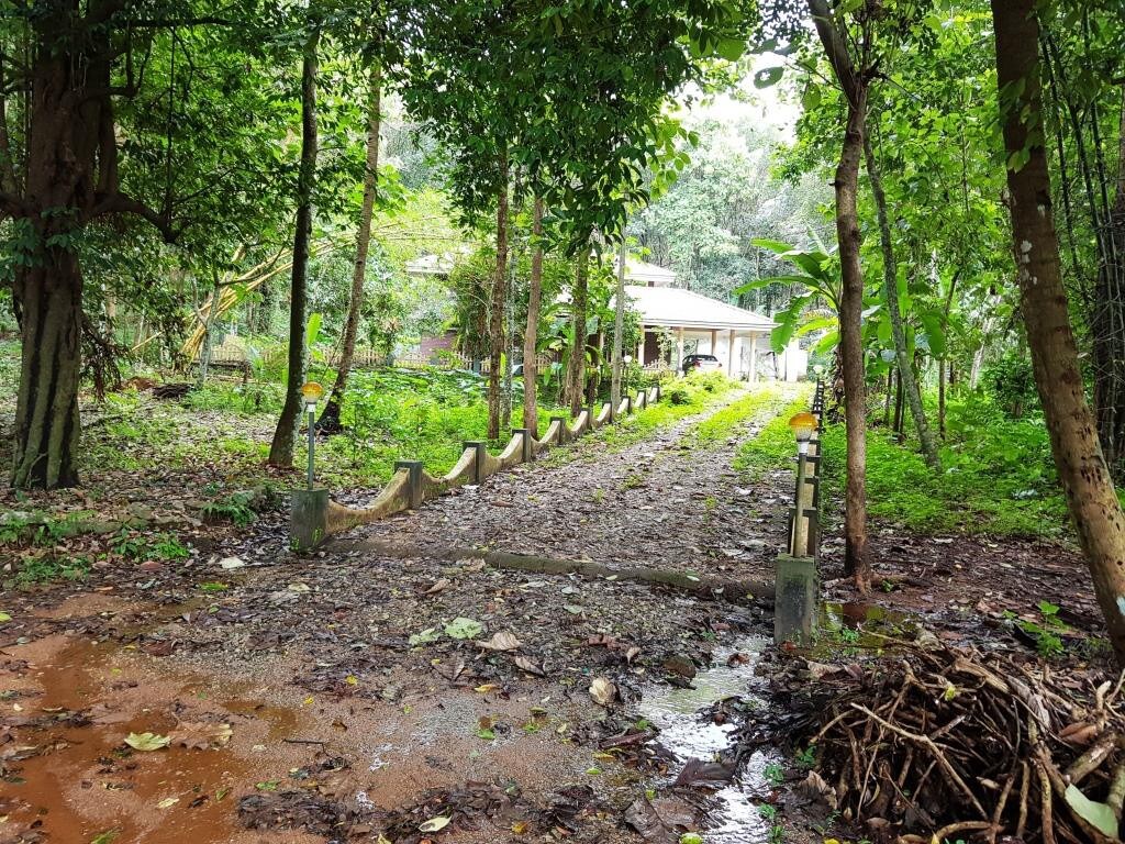 Kochu Chempotharayil Cherian Cottage