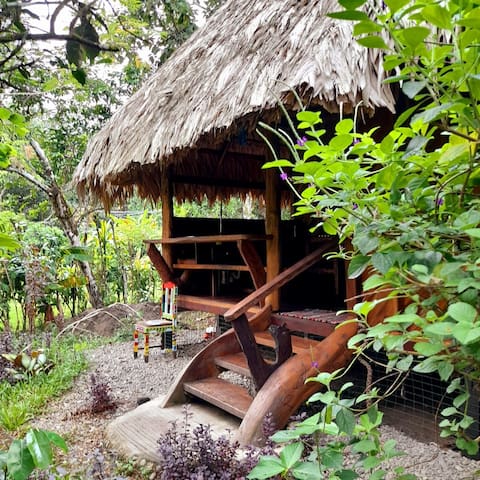 Cahuita - Provincia de Limon的民宿