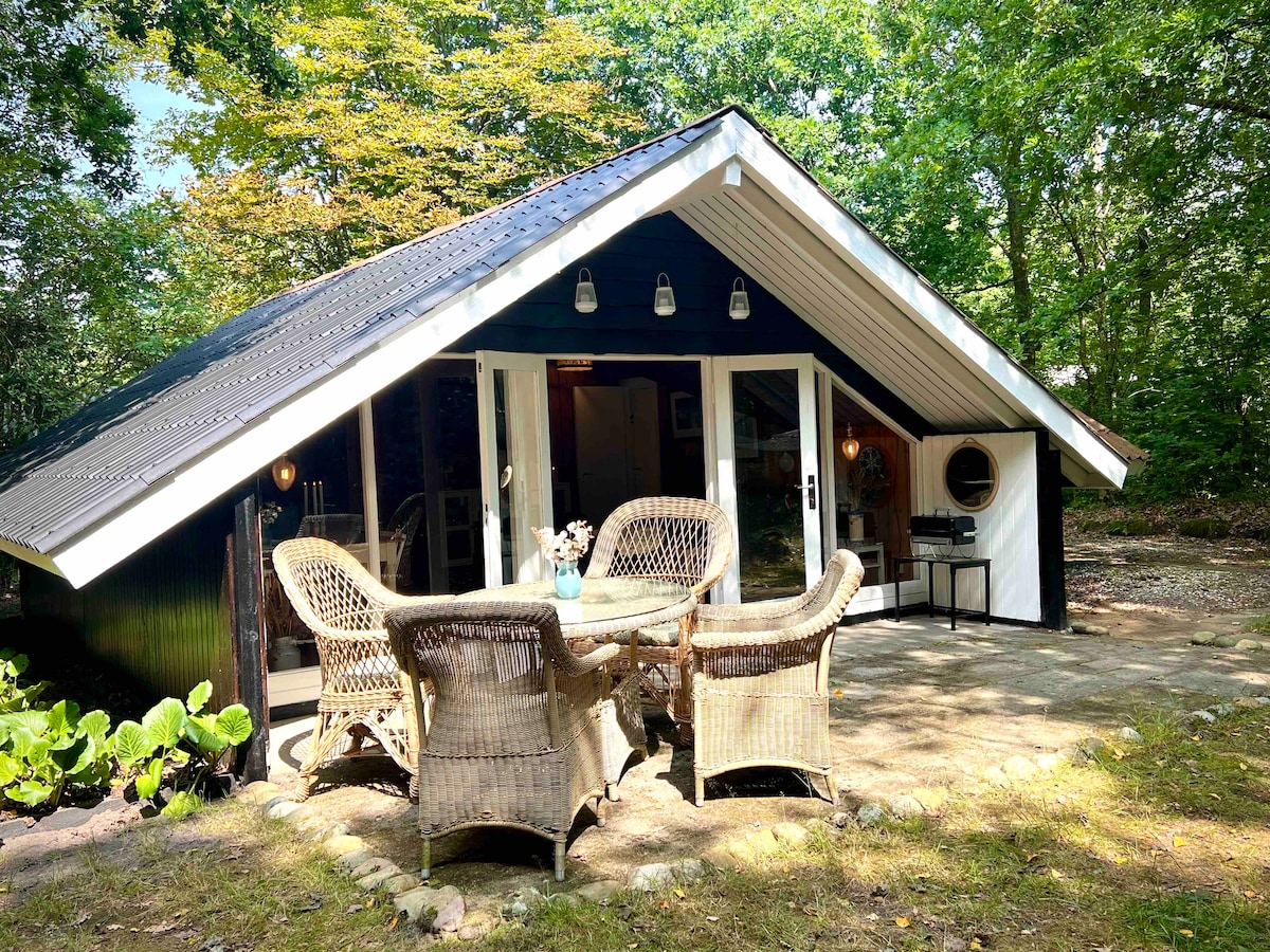 House “Impuls” by the Lake under old trees