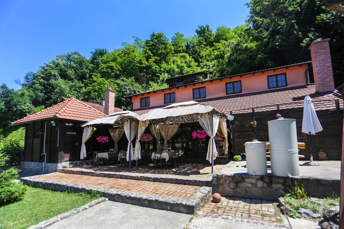 在Fruška Gora的家庭酒庄享用住宿加早餐