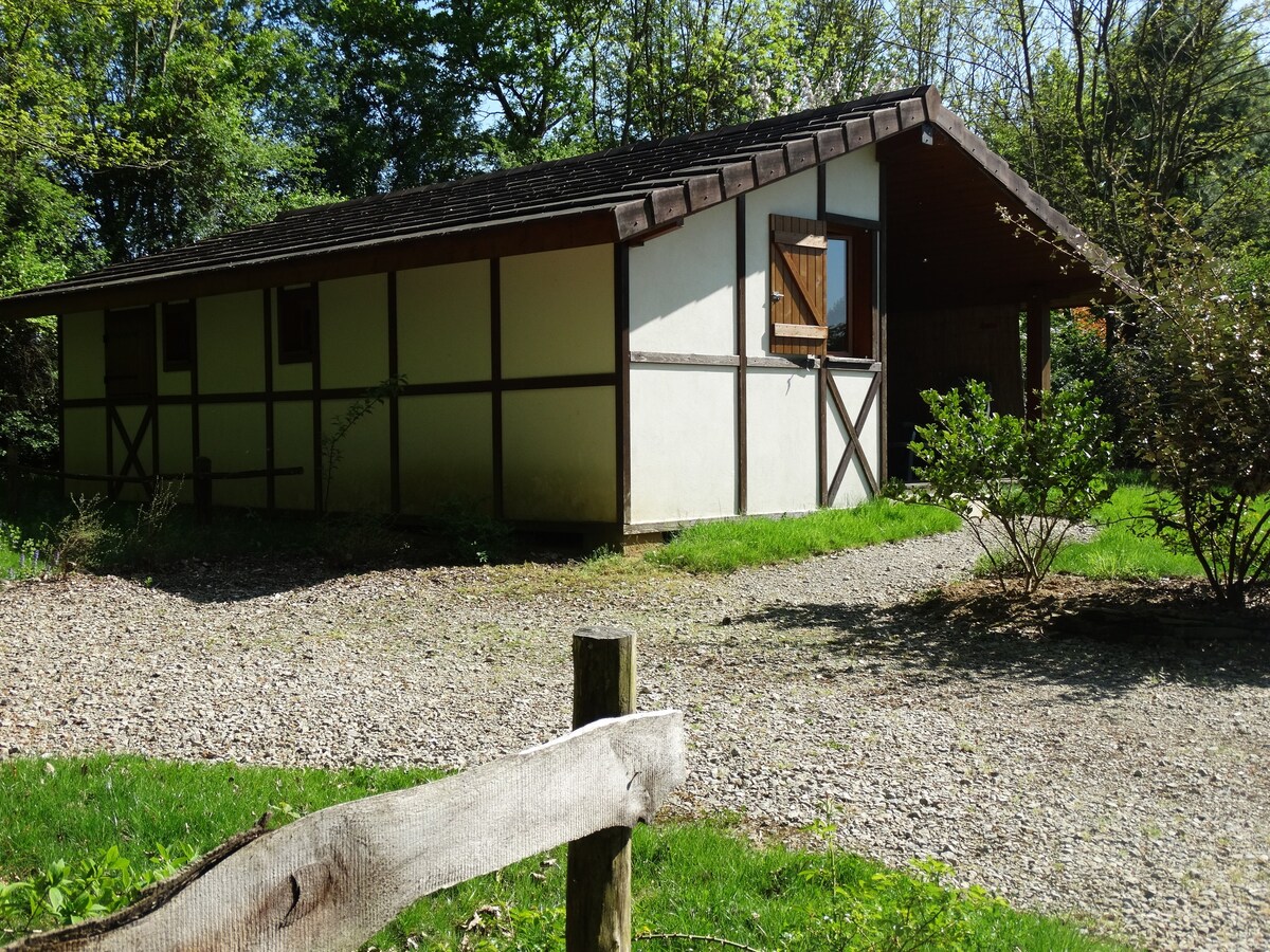 Chalets du Pontot - bord d'étang