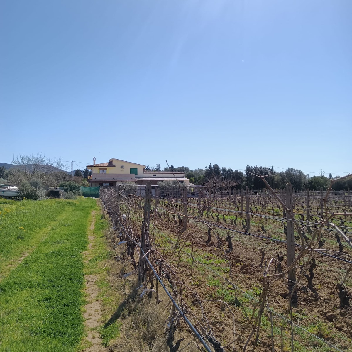 Country House Garden at the Sea