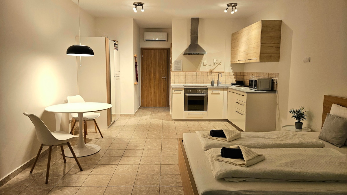 布达佩斯市中心新鲜单间公寓，位于戈兹杜（ Gozsdu ） -单间公寓C