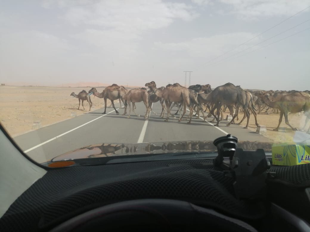 Luxury tent with AC in merzouga for families