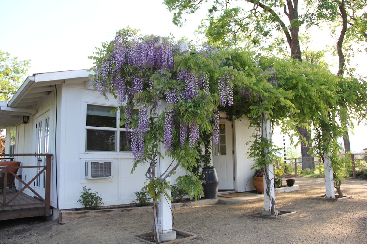 城市和乡村生活的梨子小屋