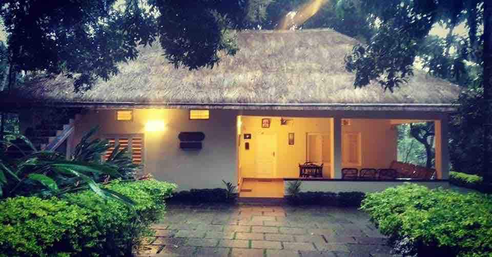 Stay With Nature : Farm House Munnar  -  Maryoor