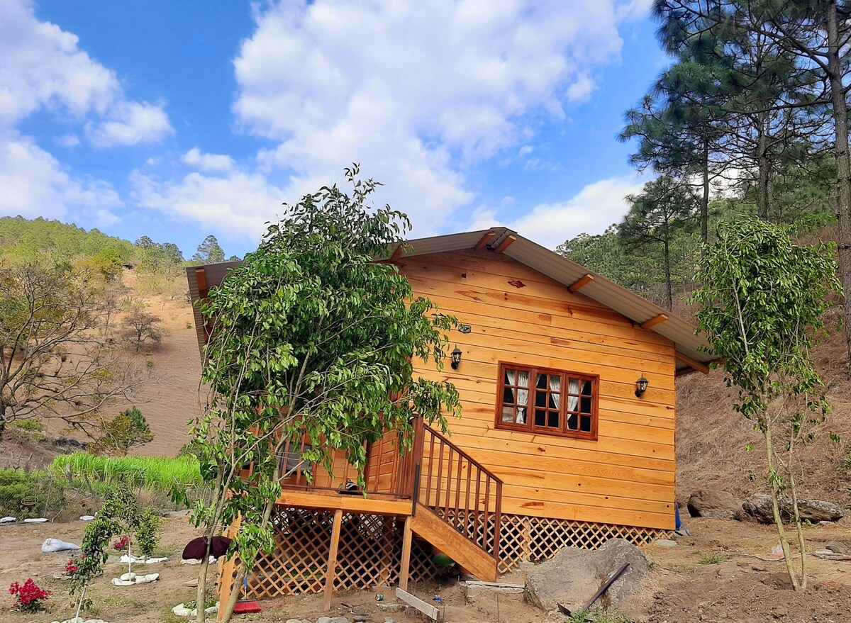 Cabañas Villa Los Pinos