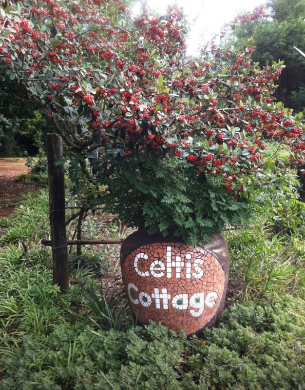Celtis Cottage, self catering accomodation