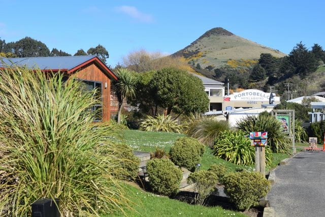 Coneview, Portobello, Otago Peninsula