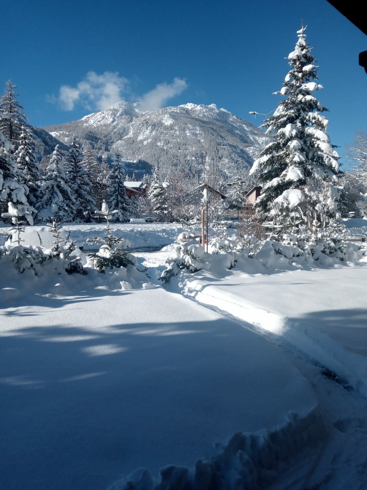 阿尔卑斯山小屋面朝滑雪场