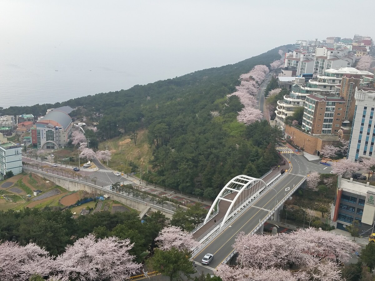 海云台（ Haeundae ）/清沙浦（ Cheongsapoo ）/月桥（ moonpass