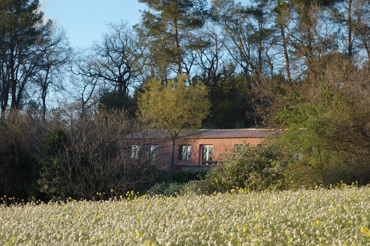 L'Indienne. Le Mazet de la campagne Olive.