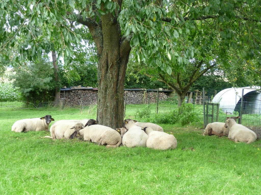 "Les Colombages" Baizieux Somme家庭住宅