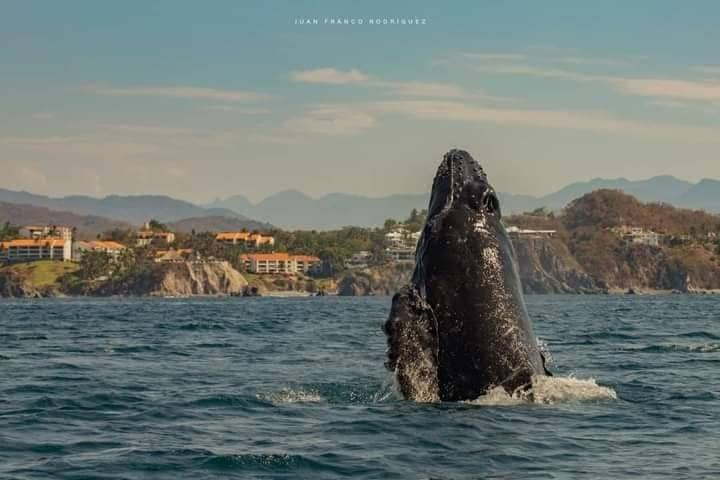 Hermoso condominio en Vida del Mar.