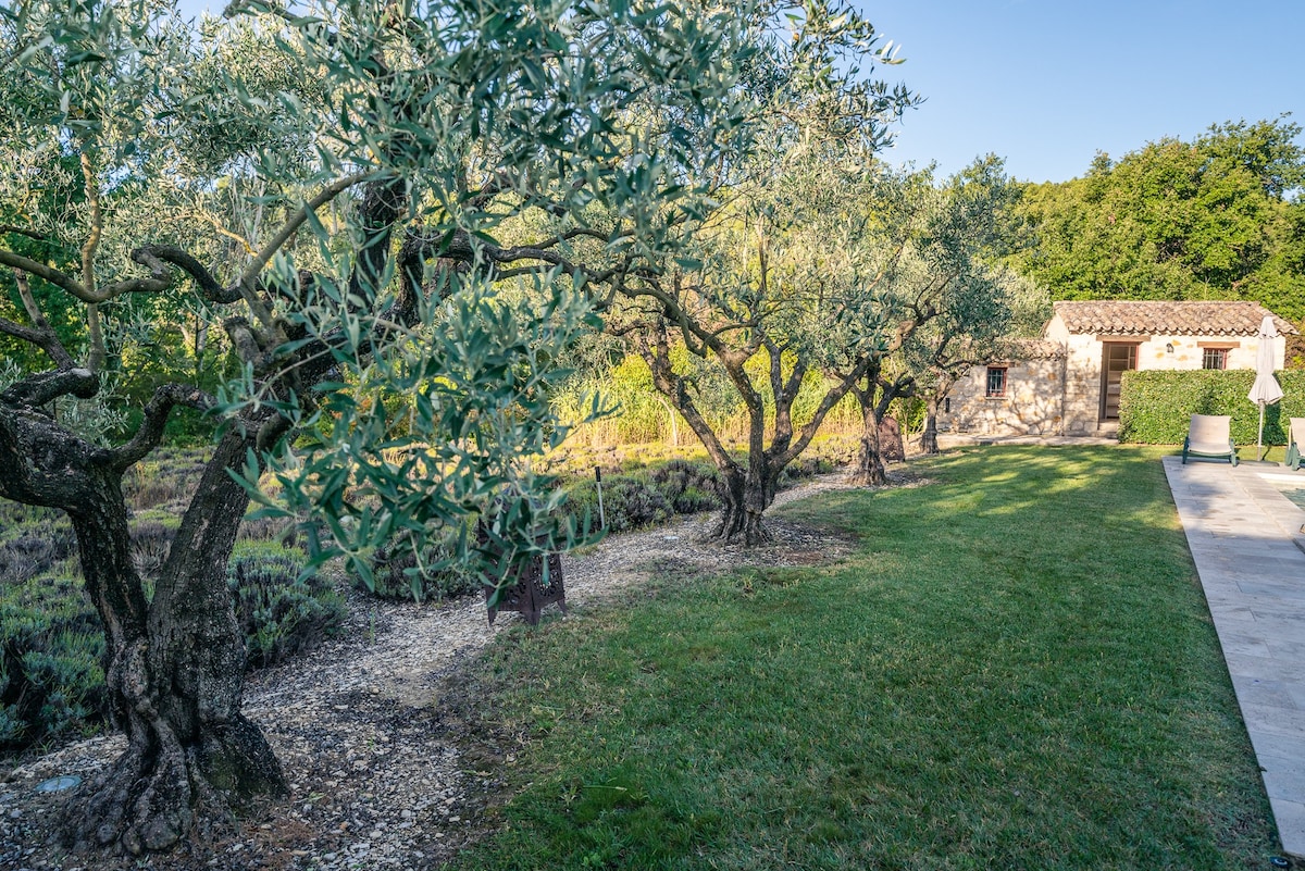 Spacious Provence villa in 4 hectares of land