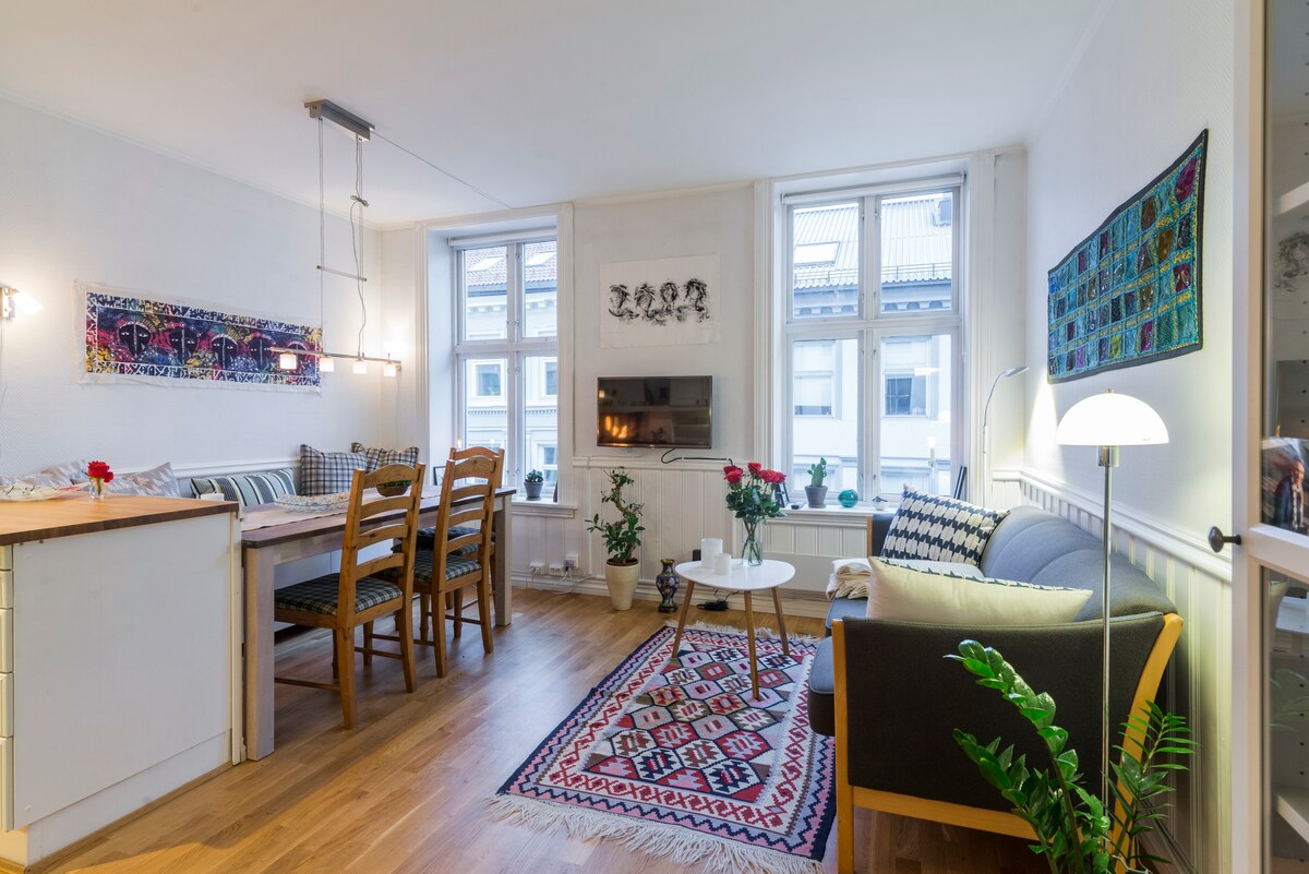 位于奥斯陆最佳位置的舒适公寓