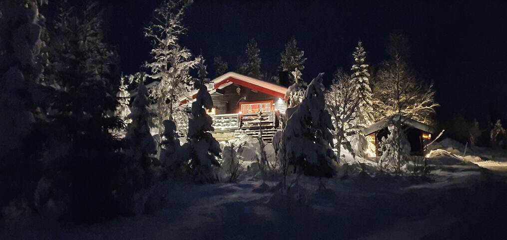 Älvdalen N的民宿