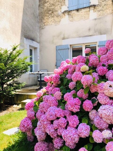 Les Hortensias, proche  Futuroscope, jardin clos