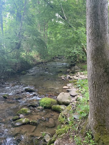 盖林柏格（Gatlinburg）的民宿