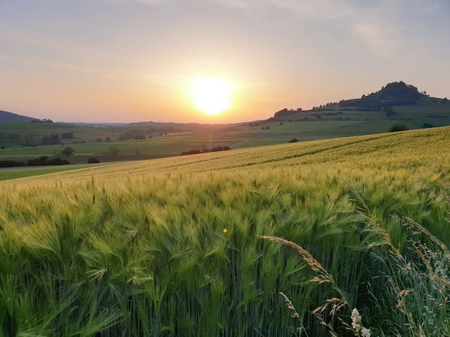 Seitingen-Oberflacht的民宿