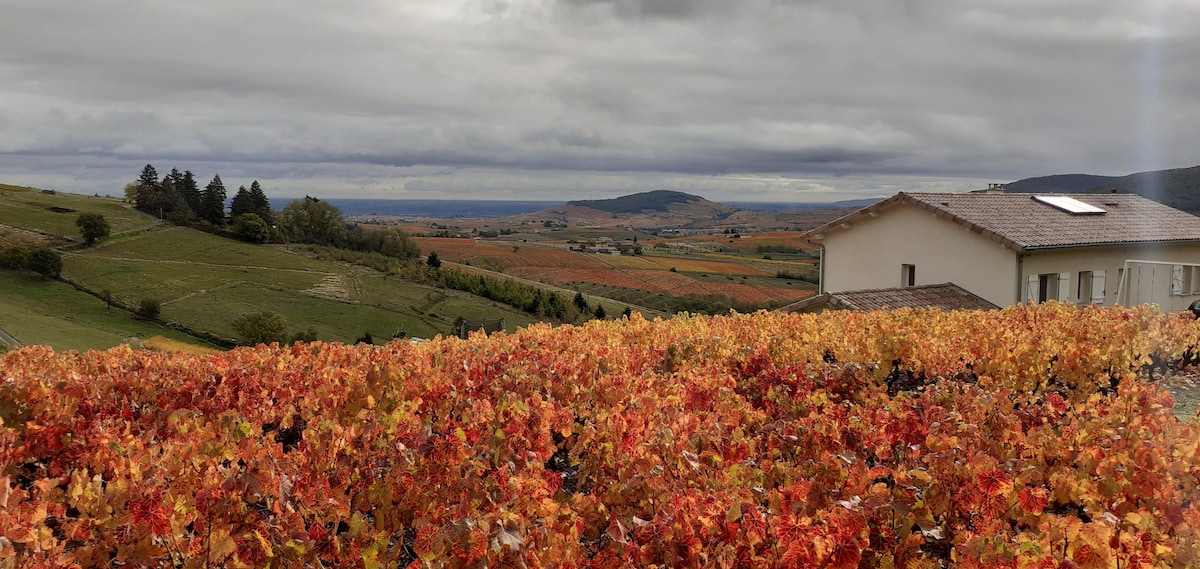 博若莱（ Beaujolais ）的神奇美景